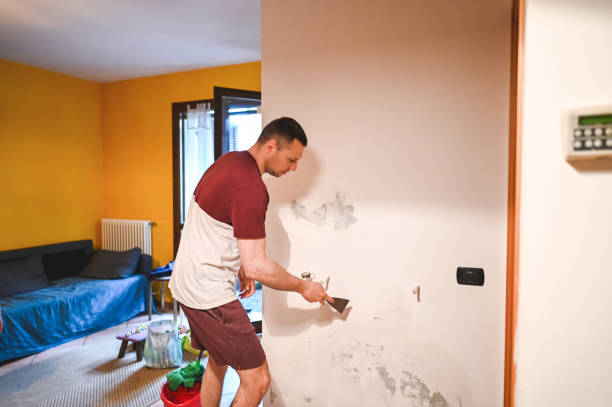 Best Post-Flood Mold Remediation in Tioga Terrace, NY